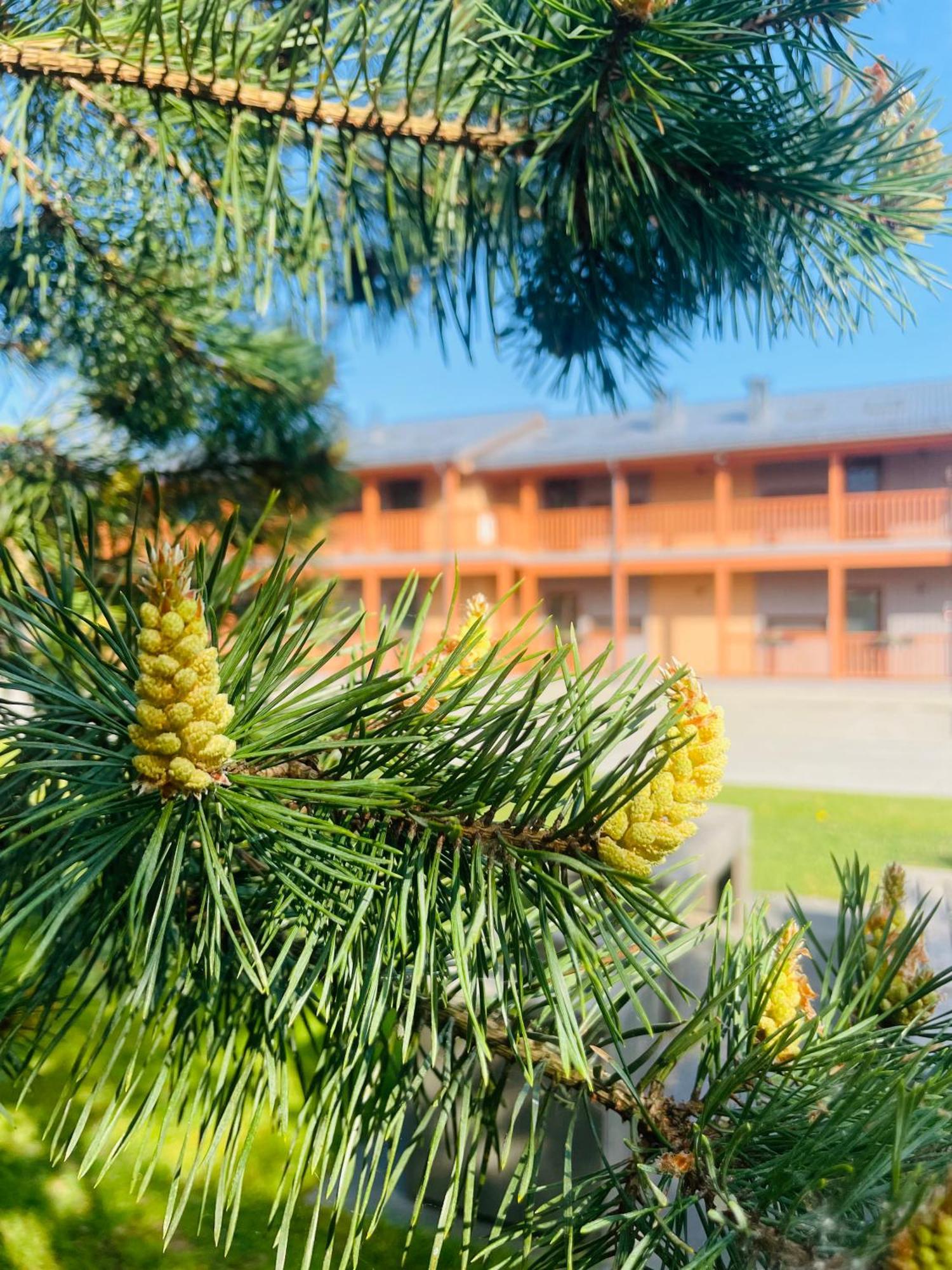 Bestes Apartamenti Koceni Exterior foto